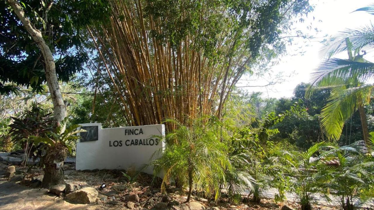 Finca Los Caballos Montezuma Exterior foto
